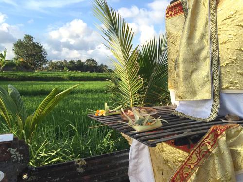 suly vegetarian resort