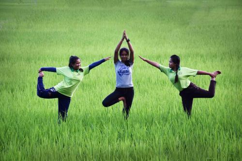 suly vegetarian resort