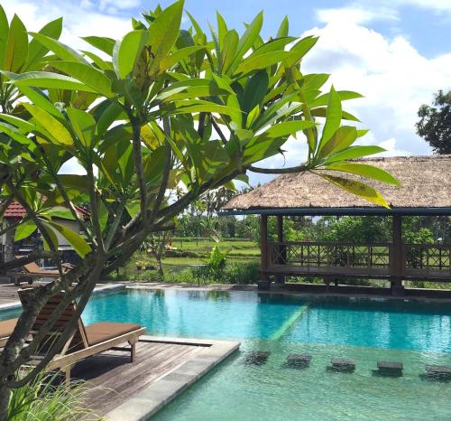 suly vegetarian resort