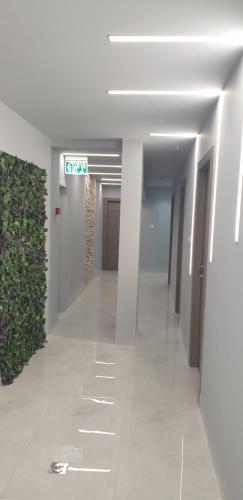 maya guest house panoramic seaandcity view