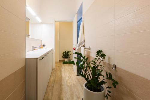 notami yellow line apartment