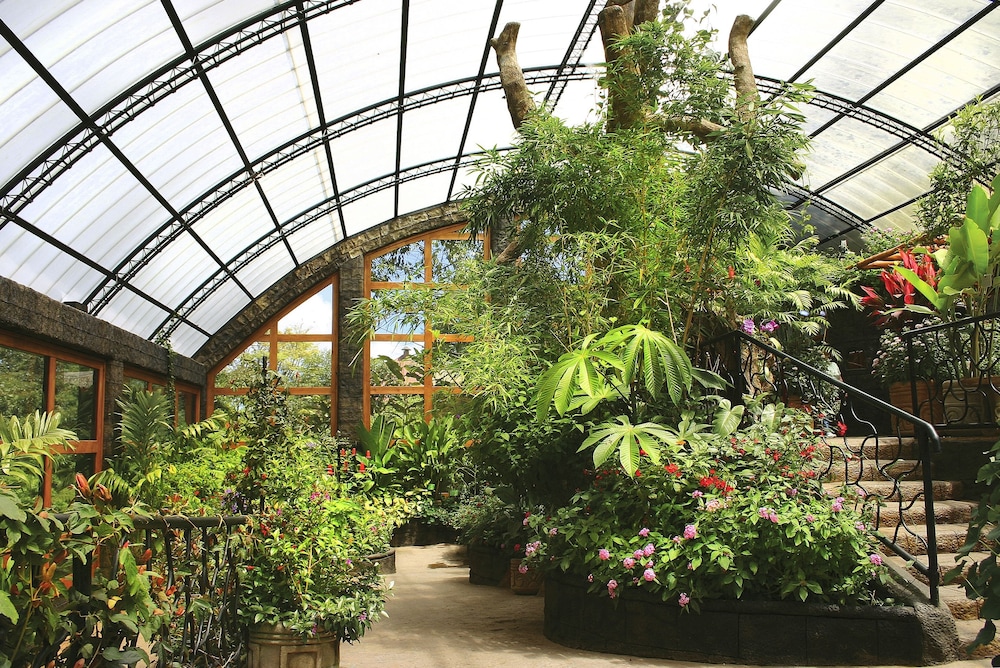peace lodge