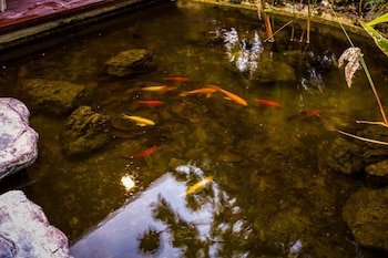 5br luxury tropical pool villa ph125