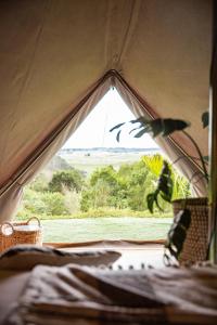 Aotearoa Surf Eco Pods,,2.5 star