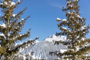 le grand hotel courchevel 1850