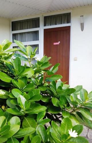 rangiroa