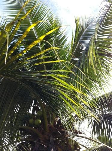 rangiroa