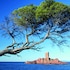 saint raphael