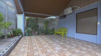 aparatamentos arenal ranas y ranitas