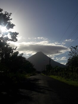 aparatamentos arenal ranas y ranitas
