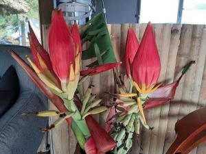 valley view homestay