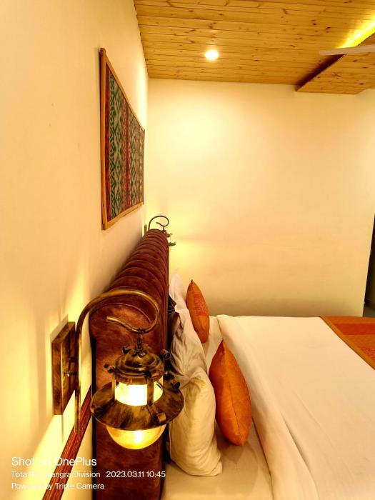 aaroham resort by aamod at dharamshala