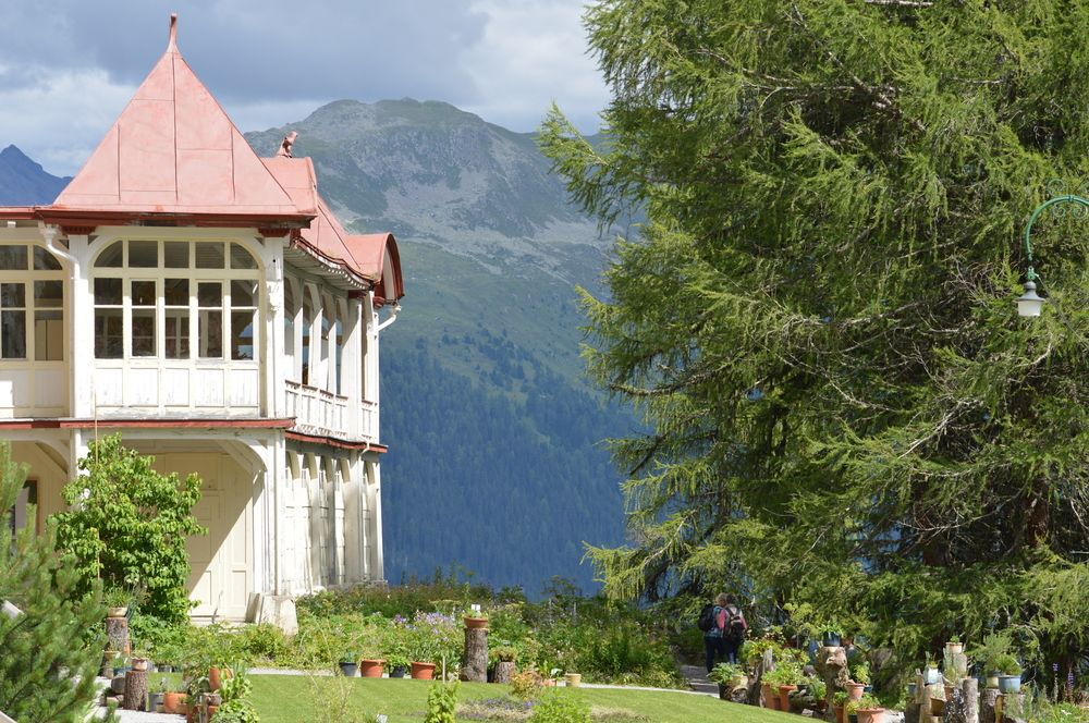 schatzalp snow and mountain resort