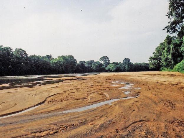 explorer by eco team wasgamuwa national park