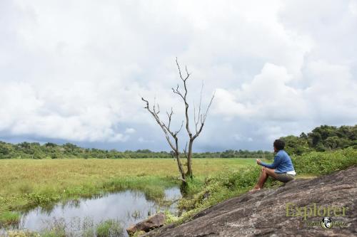 explorer by eco team wasgamuwa national park