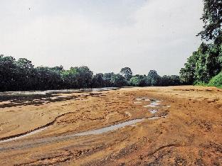 explorer by eco team wasgamuwa national park