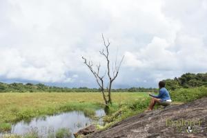 explorer by eco team wasgamuwa national park