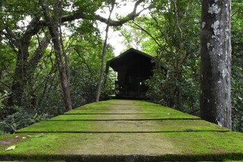 explorer by eco team wasgamuwa national park