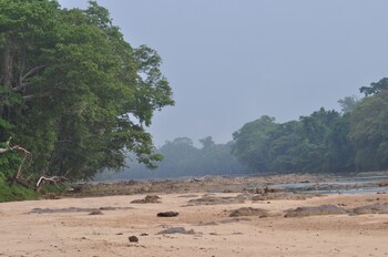 maraka