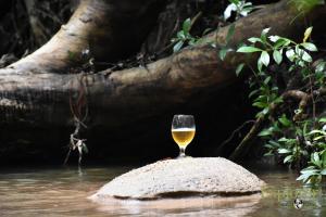 explorer by eco team wasgamuwa national park