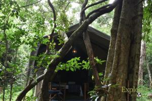 explorer by eco team wasgamuwa national park