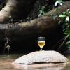 explorer by eco team wasgamuwa national park