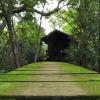 explorer by eco team wasgamuwa national park