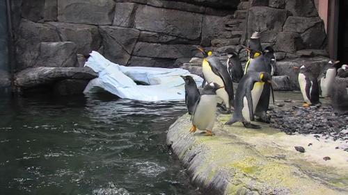 hawthorn extended stay by wyndham cincinnati ne mason