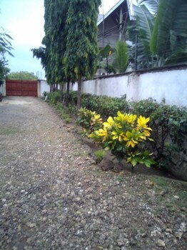 micmoll paradise