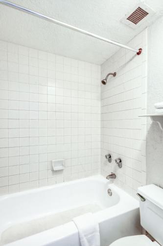 la quinta nacogdoches