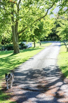 san gabriel homestead