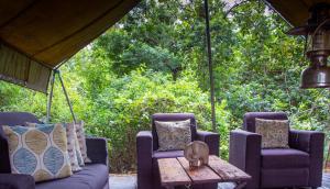 mahoora yala by eco team