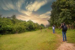 mahoora yala by eco team