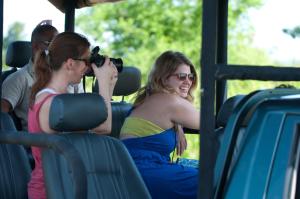 mahoora yala by eco team