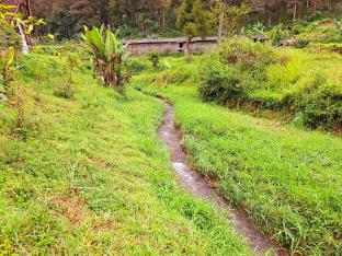 aubrey villa ciwidey