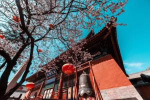 manbuyunduan theme inn
