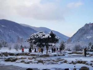 manbuyunduan theme inn