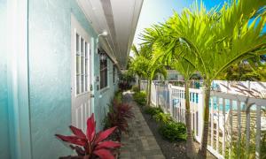 driftwood at anna maria island inn