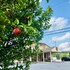 super 8 by wyndham clearfield