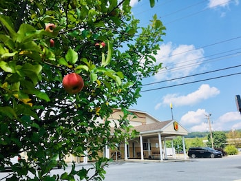 super 8 by wyndham clearfield