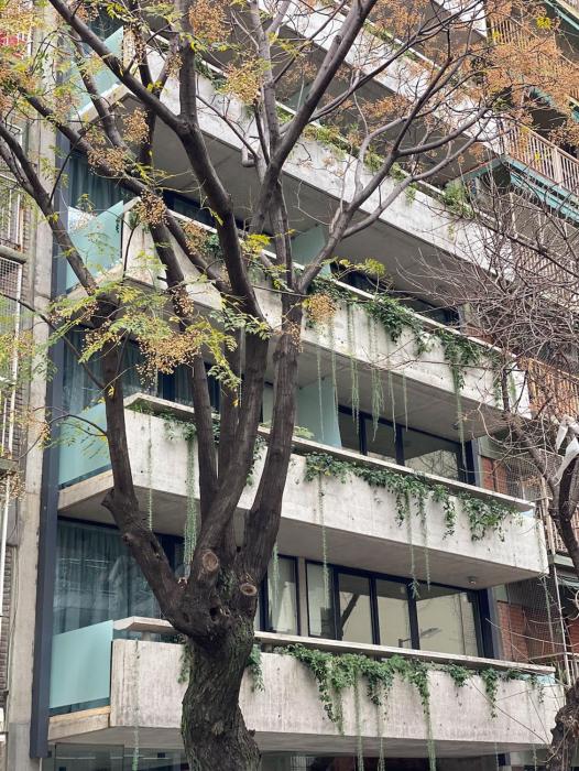 ara homes buenos aires
