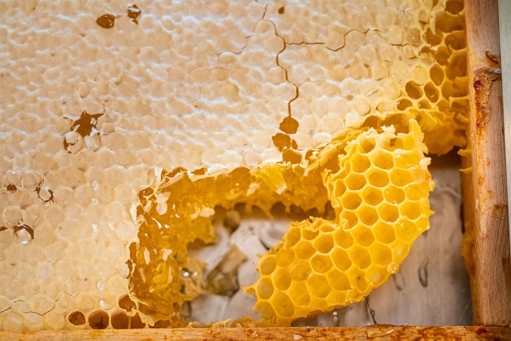 classicx landhaus and hotel