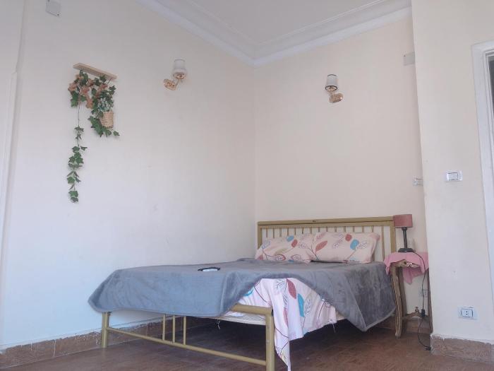 downtown cairo sweet home