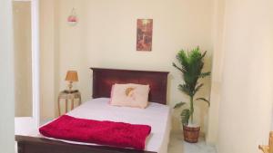 downtown cairo sweet home