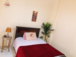 downtown cairo sweet home