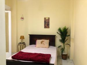 downtown cairo sweet home