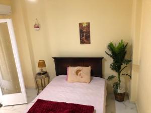 downtown cairo sweet home