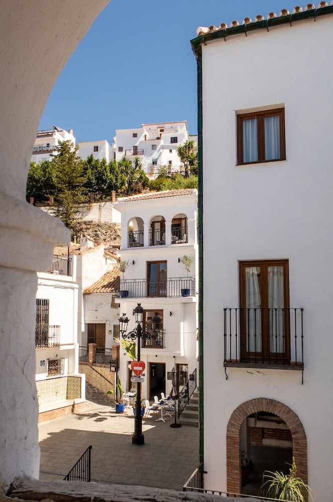 olive and ivy guest house