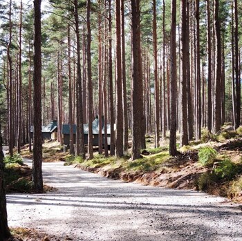 aboyne