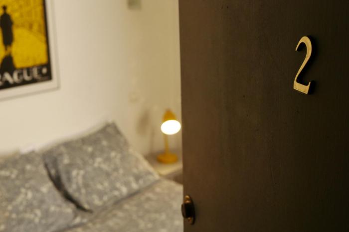 les oiseaux de passage